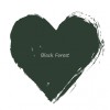 Colour: Black Forest