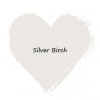Colour: Silver Birch